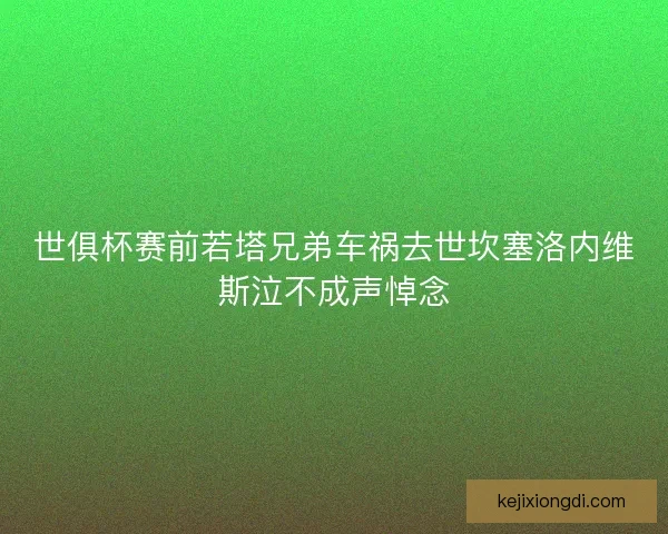 世俱杯赛前若塔兄弟车祸去世坎塞洛内维斯泣不成声悼念